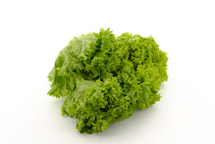 新鲜生菜