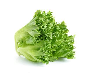 新鲜生菜