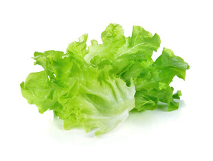 新鲜生菜