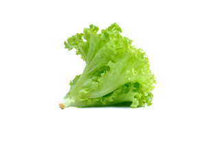 新鲜生菜叶