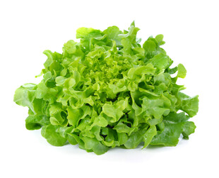 新鲜生菜