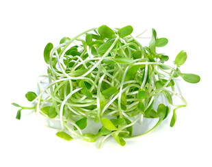 新鲜豆芽 