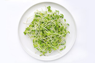盘中鲜嫩豆芽菜