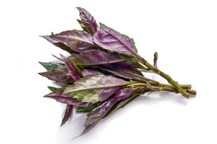 紫背天葵新鲜蔬菜