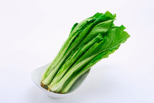 新鲜翠绿小白菜