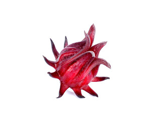 洛神花红桃K玫瑰茄