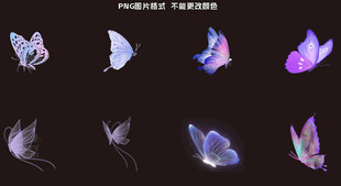 紫色蝴蝶素材