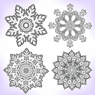 精致雪花图案设计素材