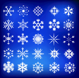 多样雪花图案集合