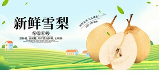 新鲜雪梨田园美味呈现