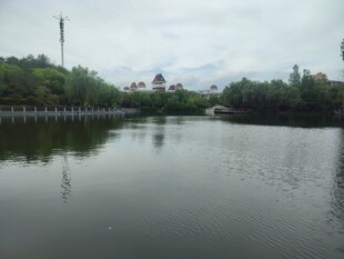 宁静湖泊与周边景致