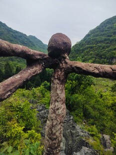 山间奇特木质雕塑景观