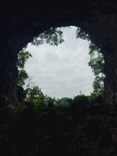 透过树洞看天空景色