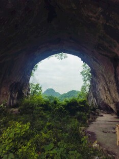 山洞外绿意盎然的景致