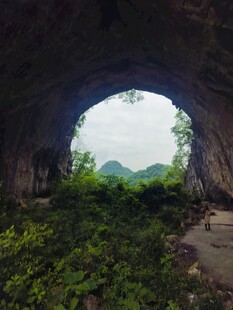 山洞外绿意盎然的自然景致
