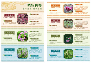 植物科普海报