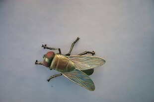 空中的绿头苍蝇