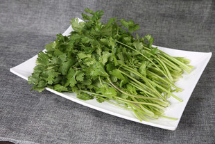 新鲜香菜摆放在白色盘中
