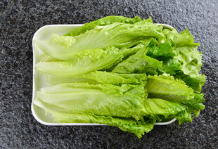 新鲜生菜