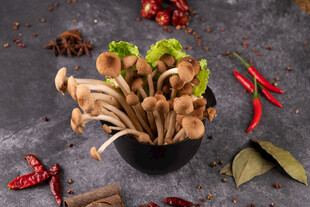 新鲜菌菇与香料的组合