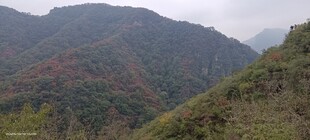 山峦叠翠间的自然美景
