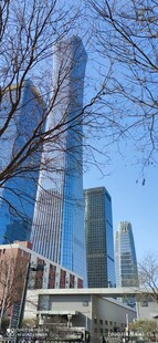 城市天际线与光秃树木景观