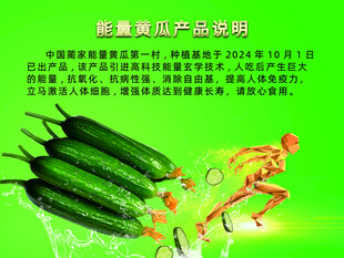 蔬菜加工生产公司宣传图