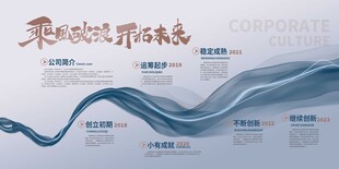 企业历程