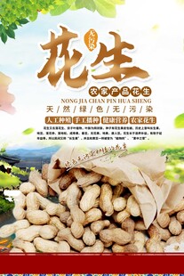 饱满花生自然田园风味