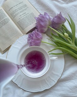 紫色花茶与浪漫阅读时光