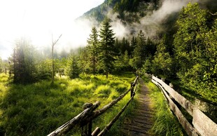 山间铁轨旁的绿意美景