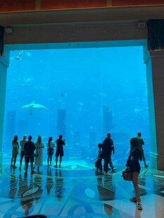 观赏巨型水族馆的人群