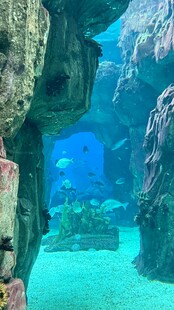 海底洞穴景观 神秘深邃
