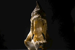 金色抽象雕塑艺术作品