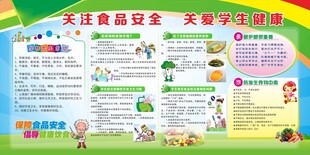 食品安全宣传知识海报