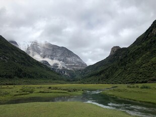山间绿野溪流