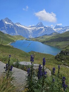 高山湖畔的美丽自然景致