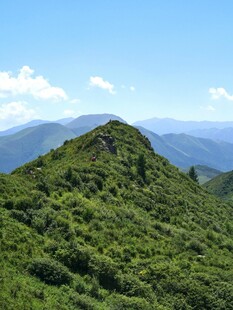 翠绿山峦