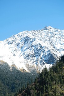 雪山森林美景