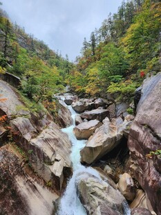 山间溪流穿岩石之景