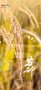 芒种