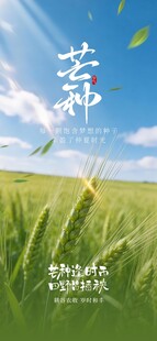 芒种