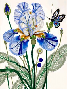 花卉插画