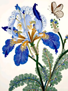 花卉插画
