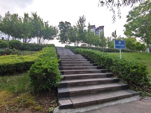 公园中蜿蜒的石阶步道