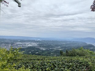 俯瞰绿意盎然的山间景致