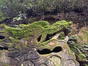 青苔覆盖的古老石雕龙头