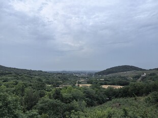 山间绿意盎然的辽阔景致