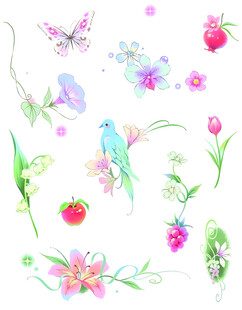 鸟