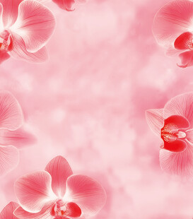 花卉